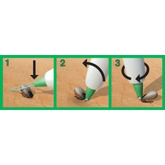 3iX Zeckenschlinge Bild 7