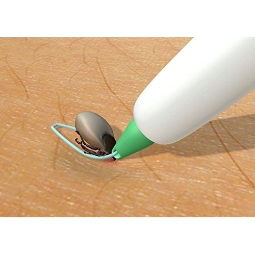 3iX Zeckenschlinge Bild 2