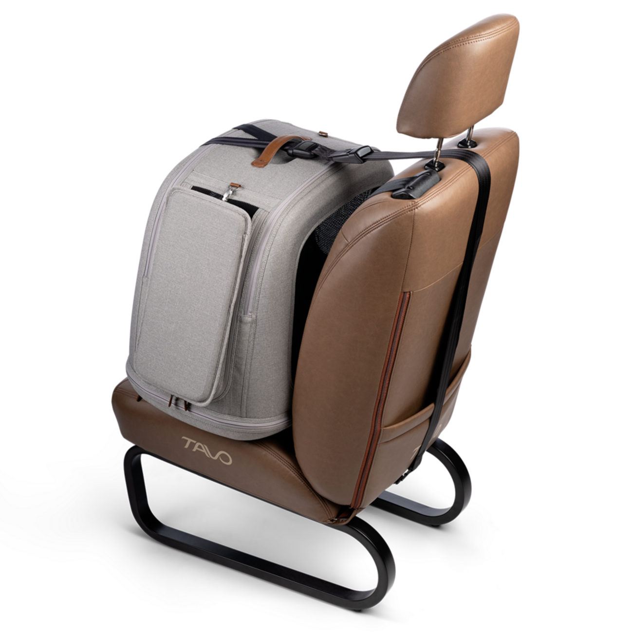 Crispin: Crashgetestete Transportbox für Hunde & Katzen 🐶🐱 Bild 10