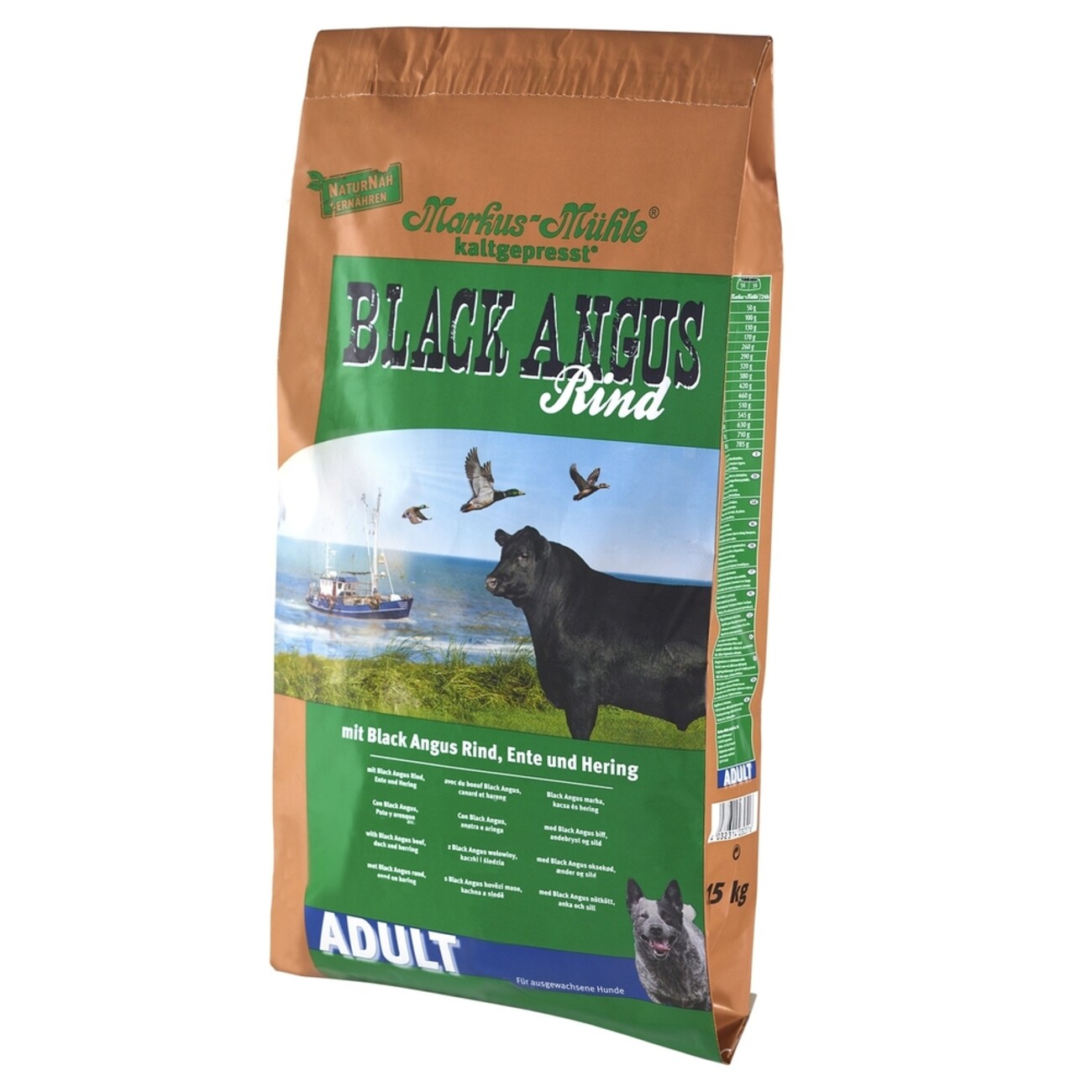 Black Angus Adult Bild 2