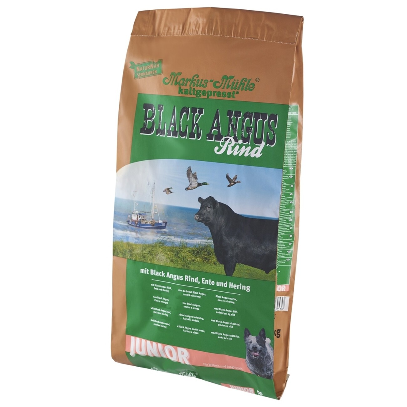 Black Angus Junior Bild 2