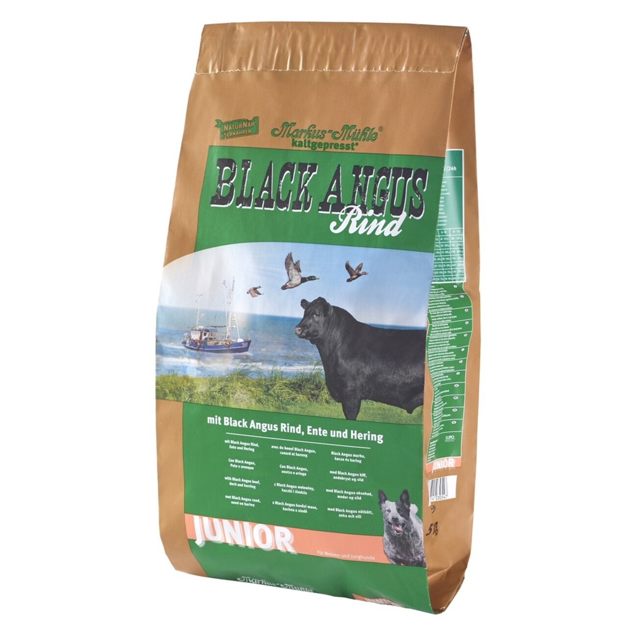 Black Angus Junior Bild 1