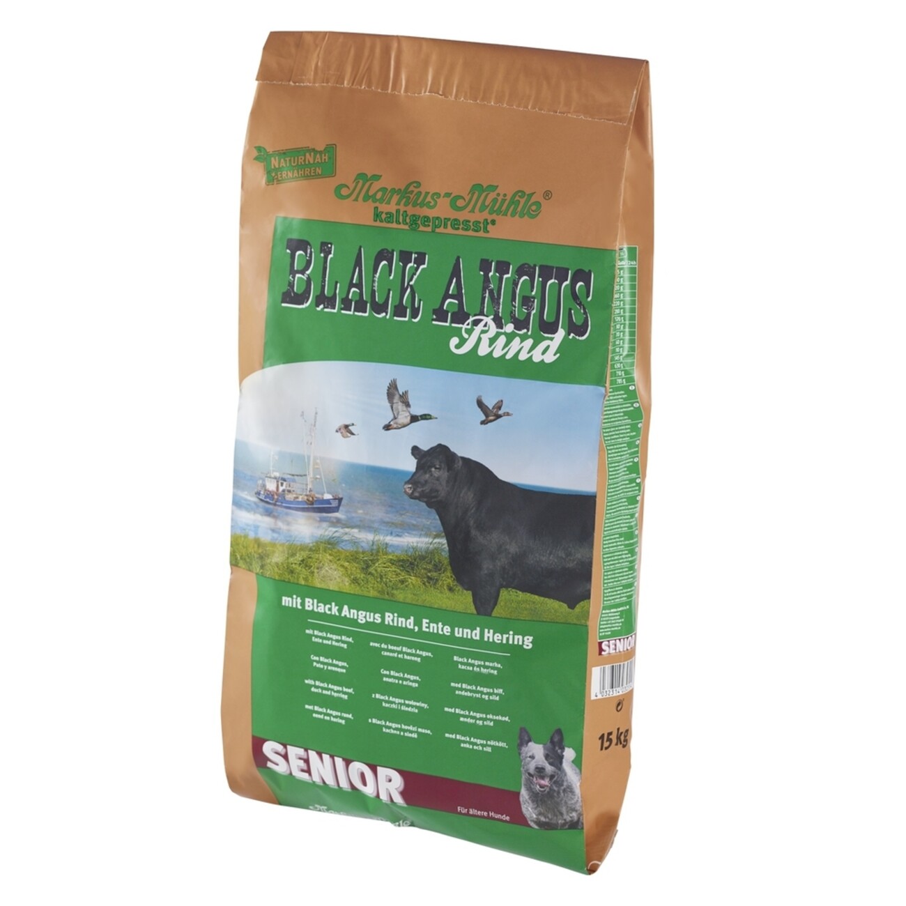 Black Angus Senior Bild 2