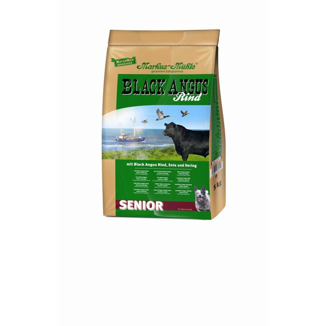 Black Angus Senior Bild 1