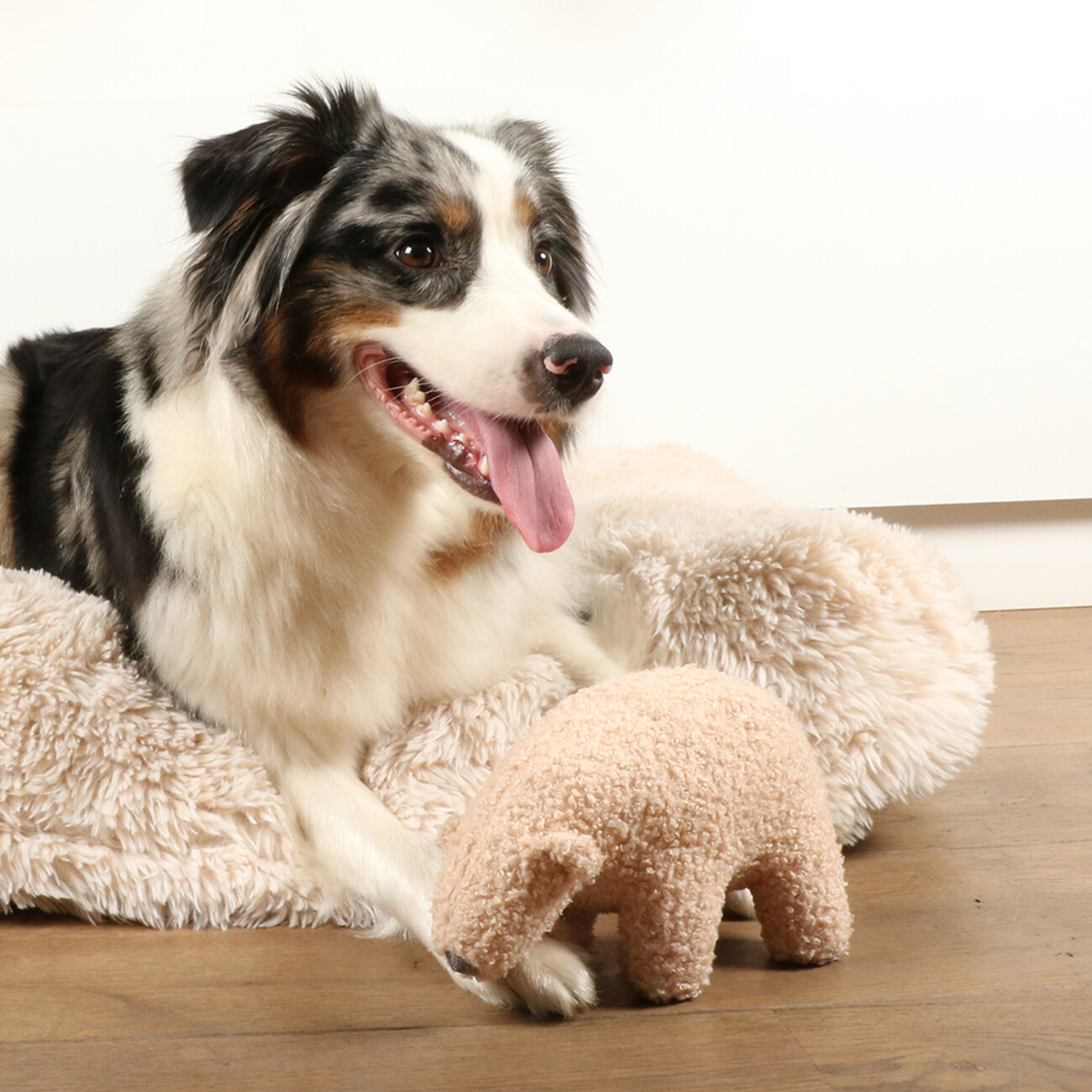 D&D Home Hundespielzeug Banjo – Kuscheliger Eisbär aus Teddystoff Bild 2