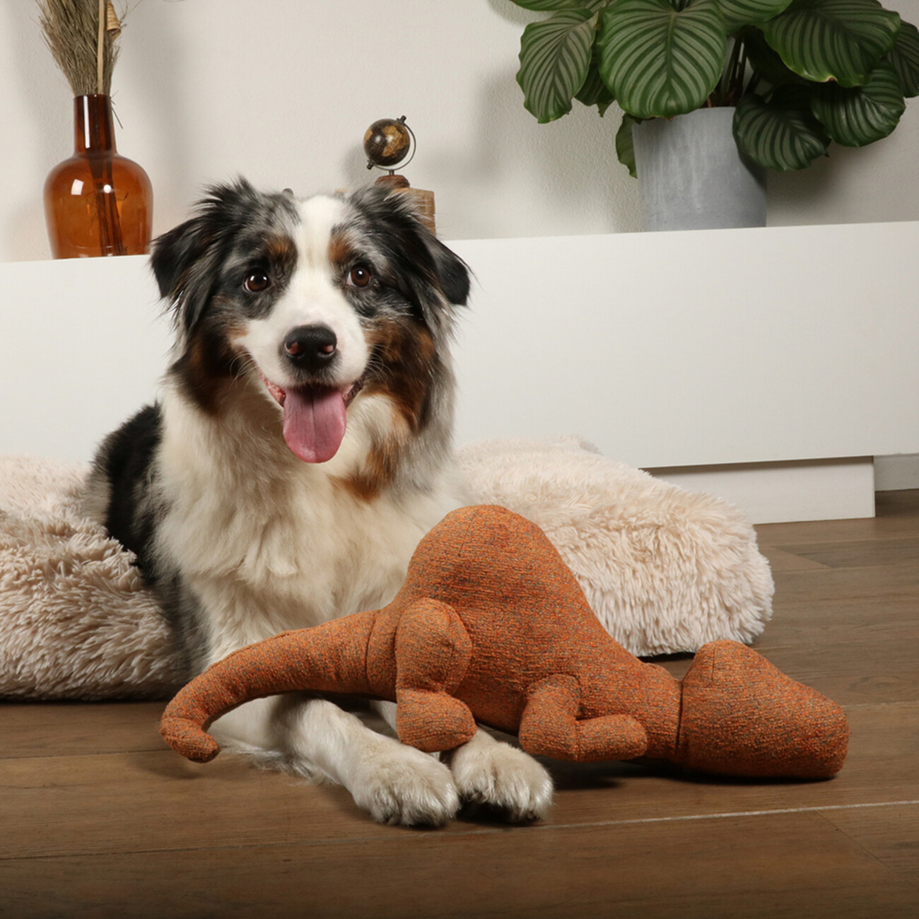 D&D HOME Hundespielzeug Quasi – Robuster Chenille-Kumpel mit Knotenseil Bild 2