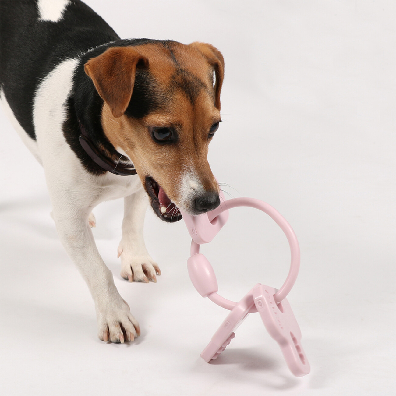 Petit Cleo Kauspielzeug für Welpen Bild 2