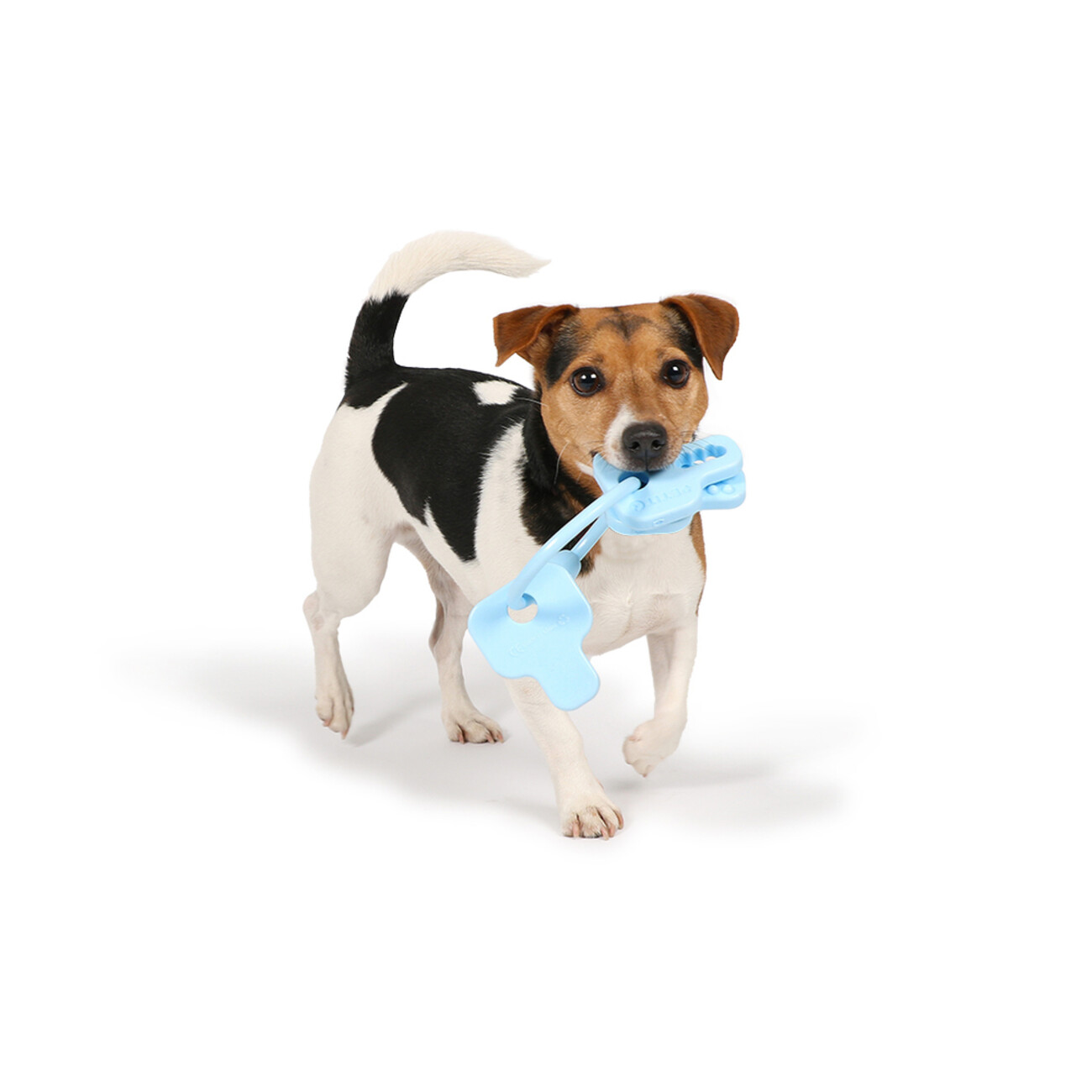 Petit Cleo Kauspielzeug für Welpen Bild 12