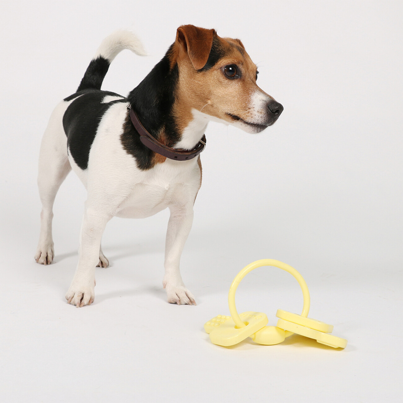 Petit Cleo Kauspielzeug für Welpen Bild 4