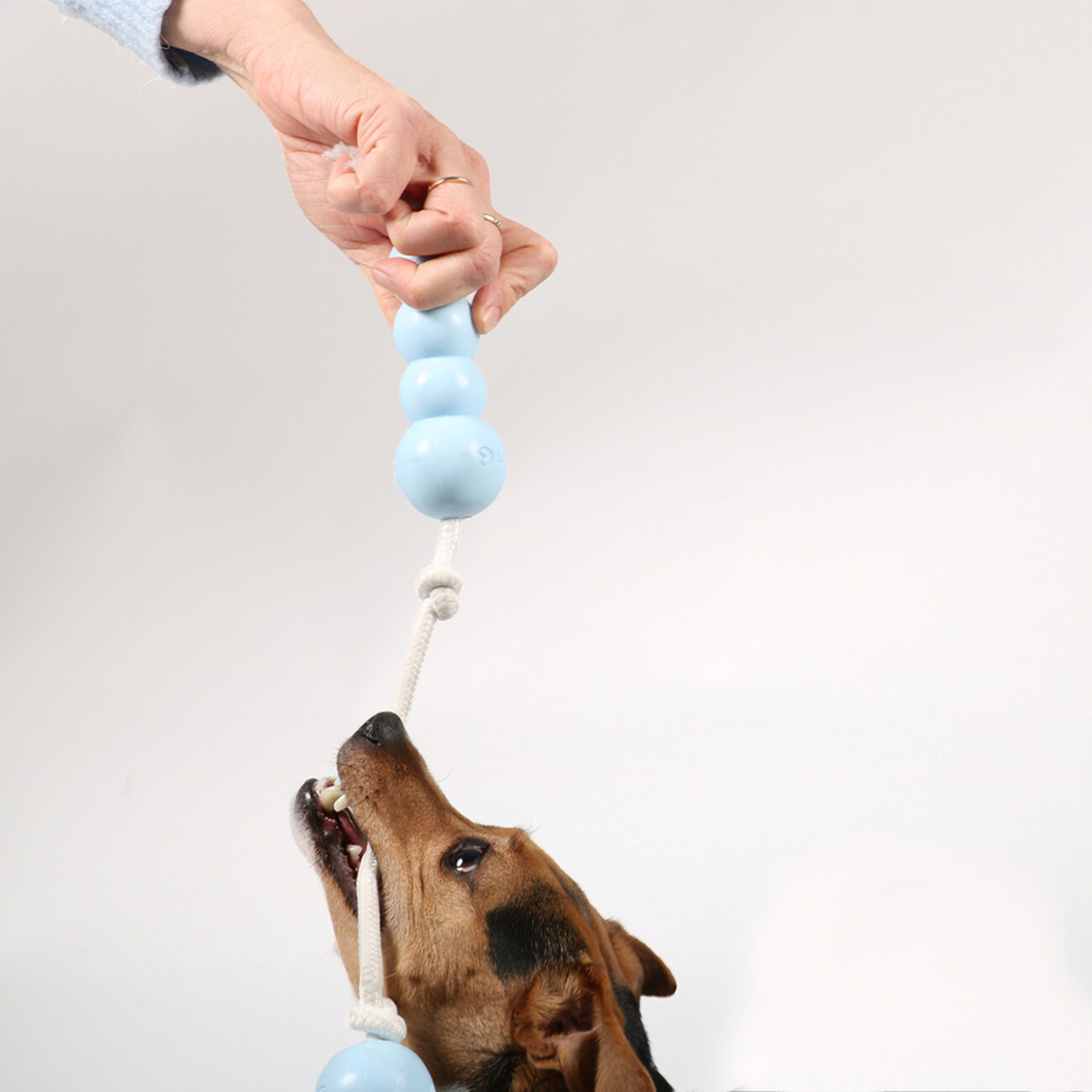 Petit Pilou Kauspielzeug für Welpen Bild 5