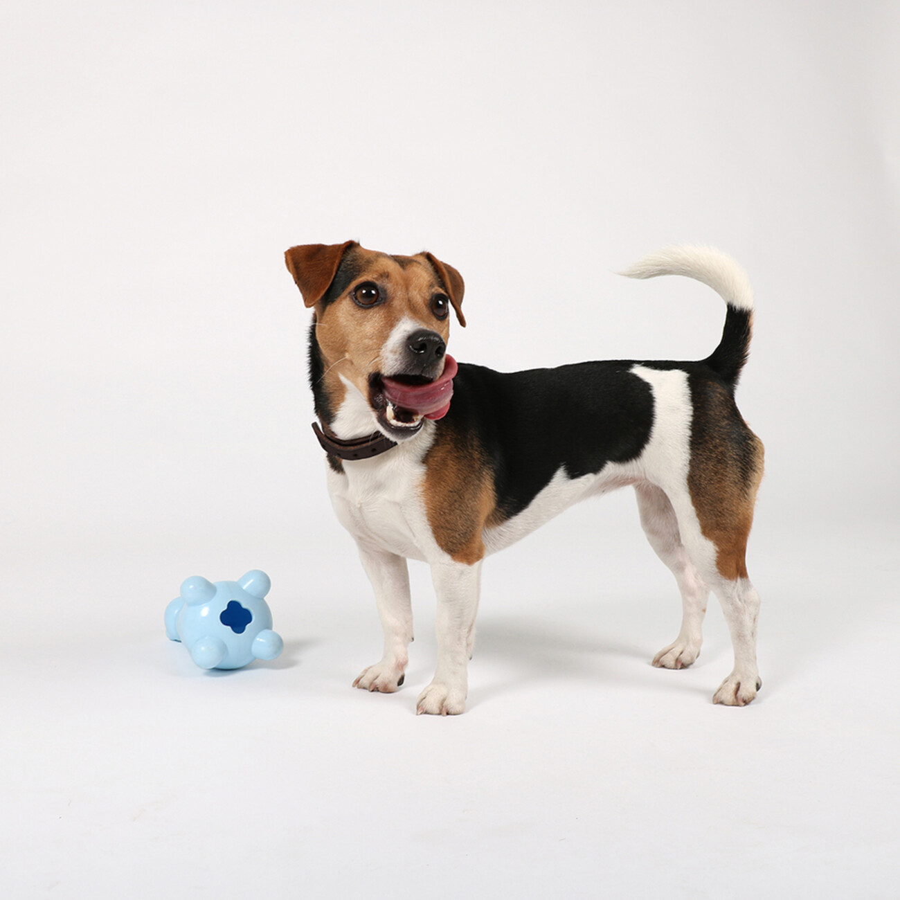 Petit Gigi Belohnungsspielzeug für Welpen Bild 7