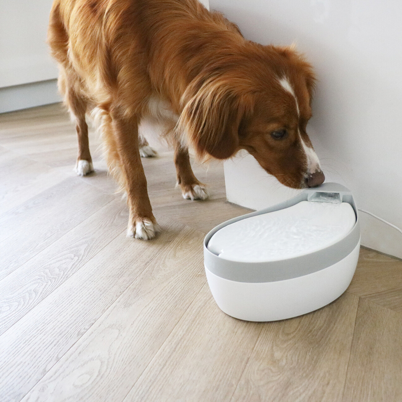 Trinkbrunnen mit Keramikoberschale Maya 1,8L Bild 2