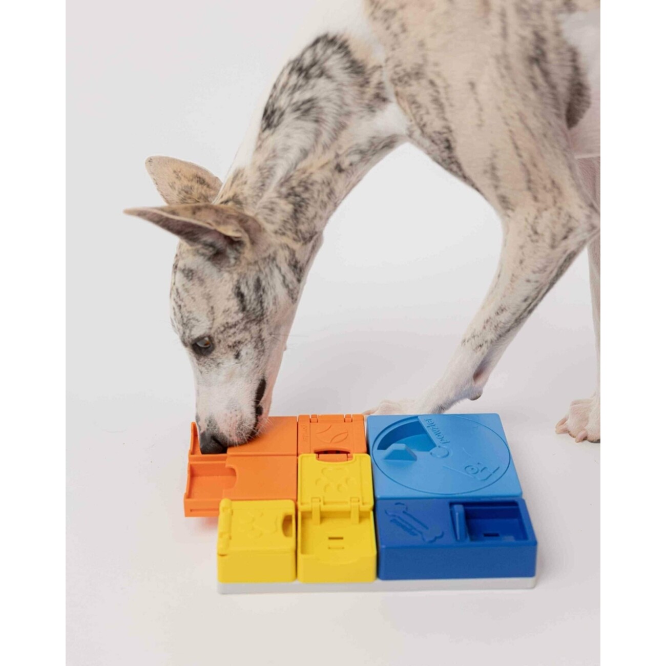 Interaktives Hunde Leckerlie Spielzeug mit individuellen Kombinations Möglichkeiten Bild 2