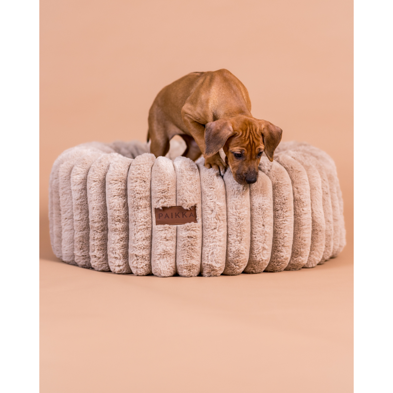PAIKKA Orthopädisches Hundebett Rund Plüsch – Memory Foam & Gelenkschonend Bild 1