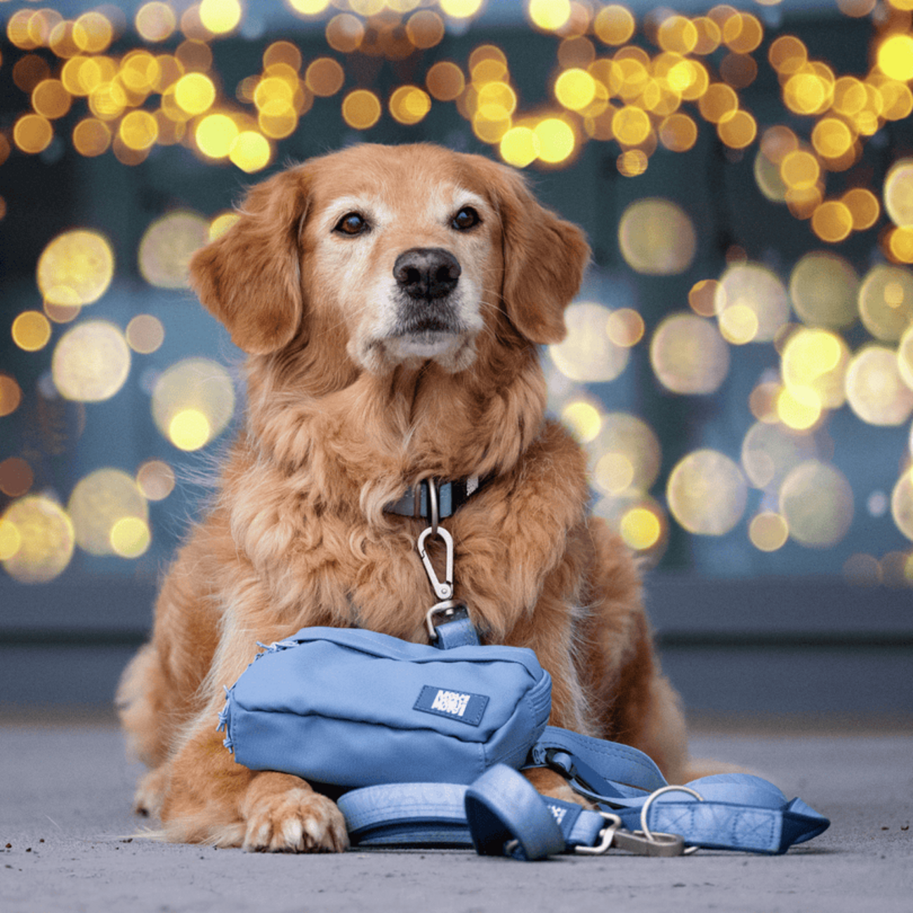 Matrix 2.0 Trainingstasche Bild 26