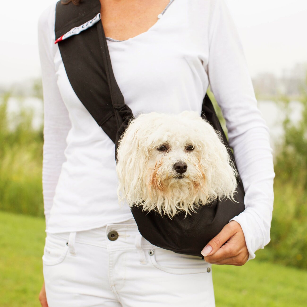 Bauchtasche für Hunde 4LazyLegs Bild 13