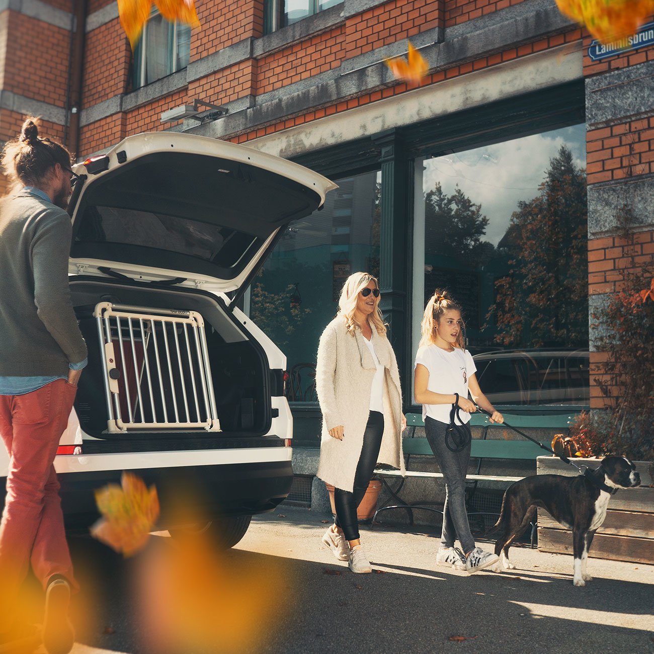 4pets Autobox Alu ECO 2 Bild 2