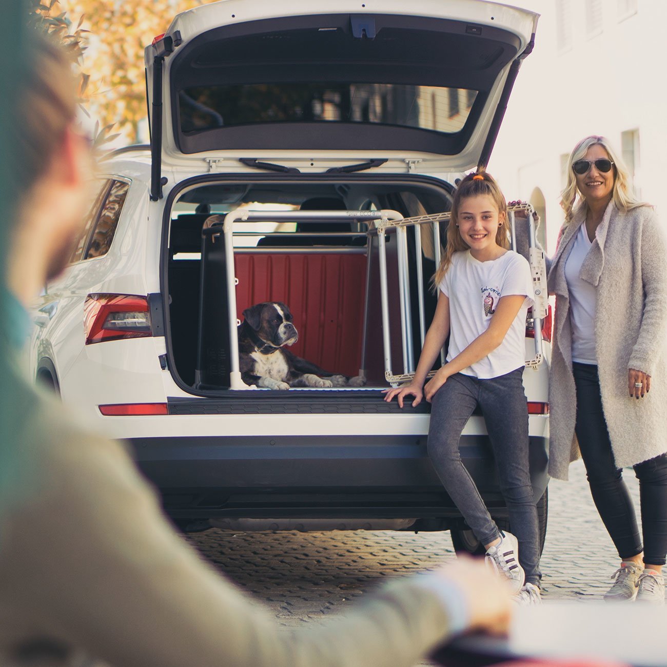 4pets Autobox ECO 4 für große Hunde Bild 2