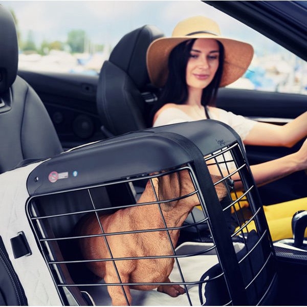 4Pets Dog Caree Hundebox Transportbox für Hunde Bild 2