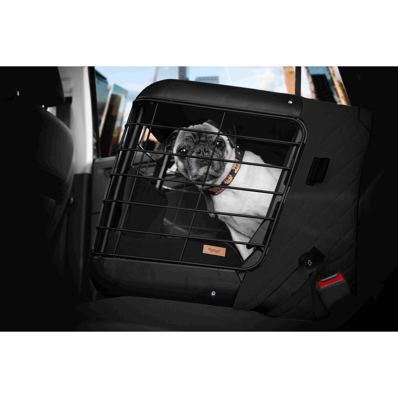 4Pets Dog Caree Hundebox Transportbox für Hunde Bild 9