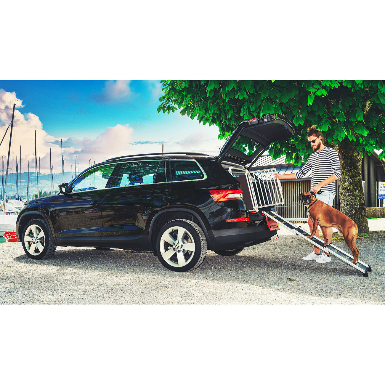4pets Easy-Steps Teleskop Rampe für Hunde Bild 6