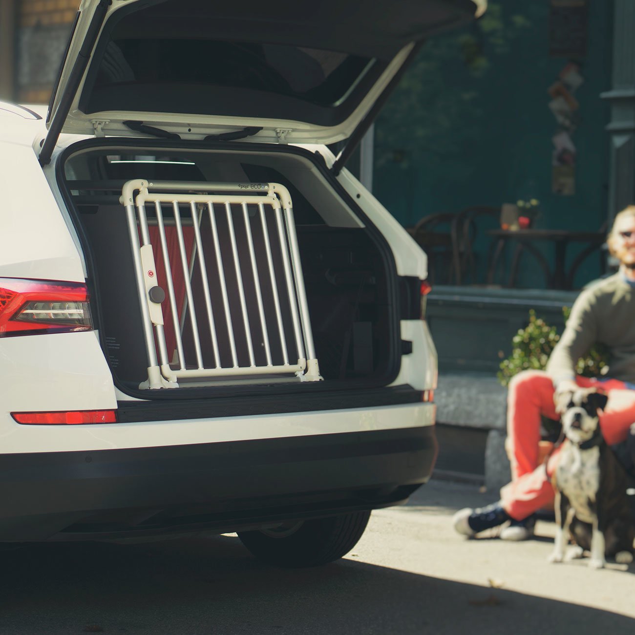 4pets Hundebox fürs Auto ECO 3 Bild 2