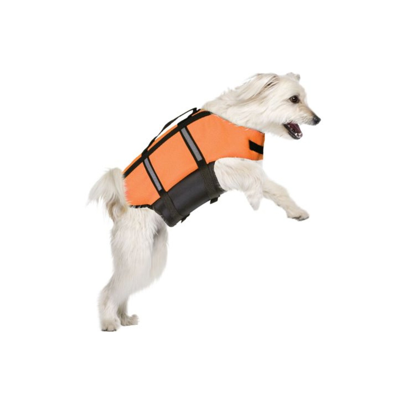 Flamingo Hundeschwimmweste Marinus Fluo Orange – Sicherheit & Sichtbarkeit für deinen Wasserhund Bild 2