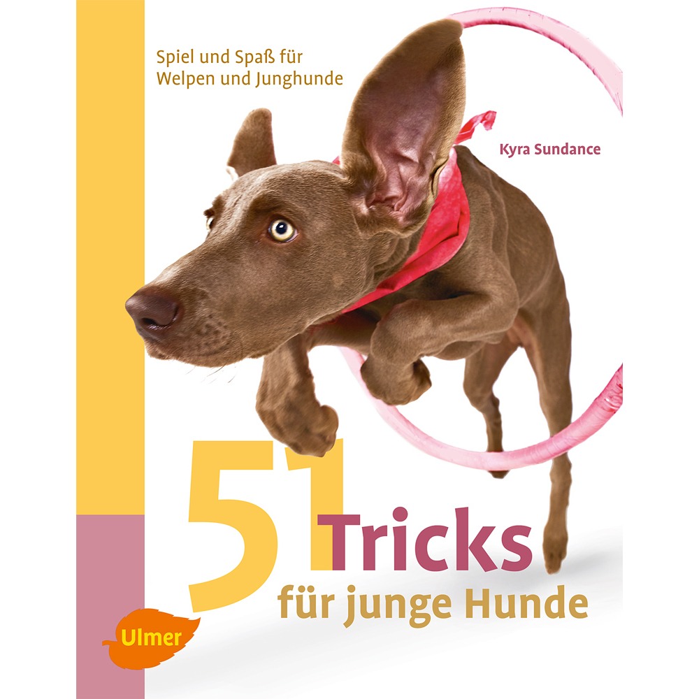 51 Tricks für junge Hunde und Welpen Bild 1