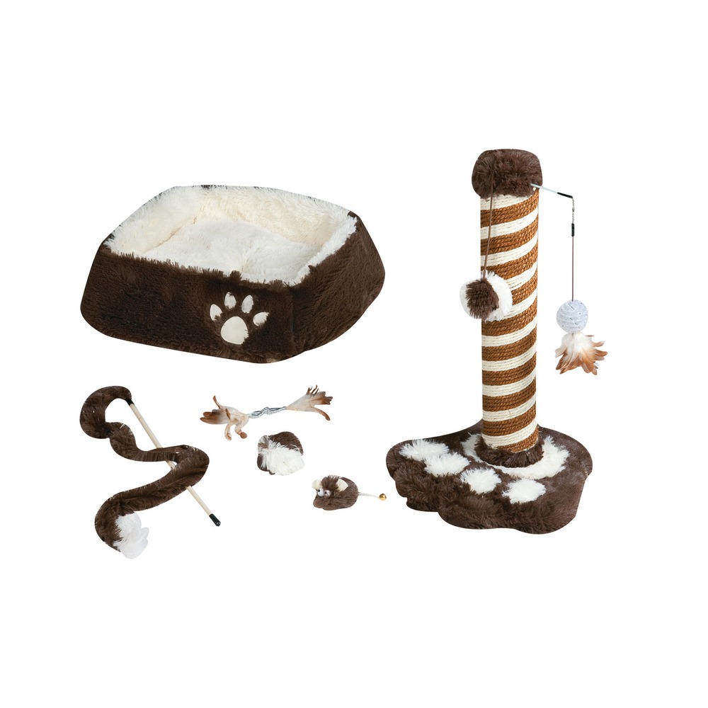 Kitten Startset für kleine Katzen Bild 1