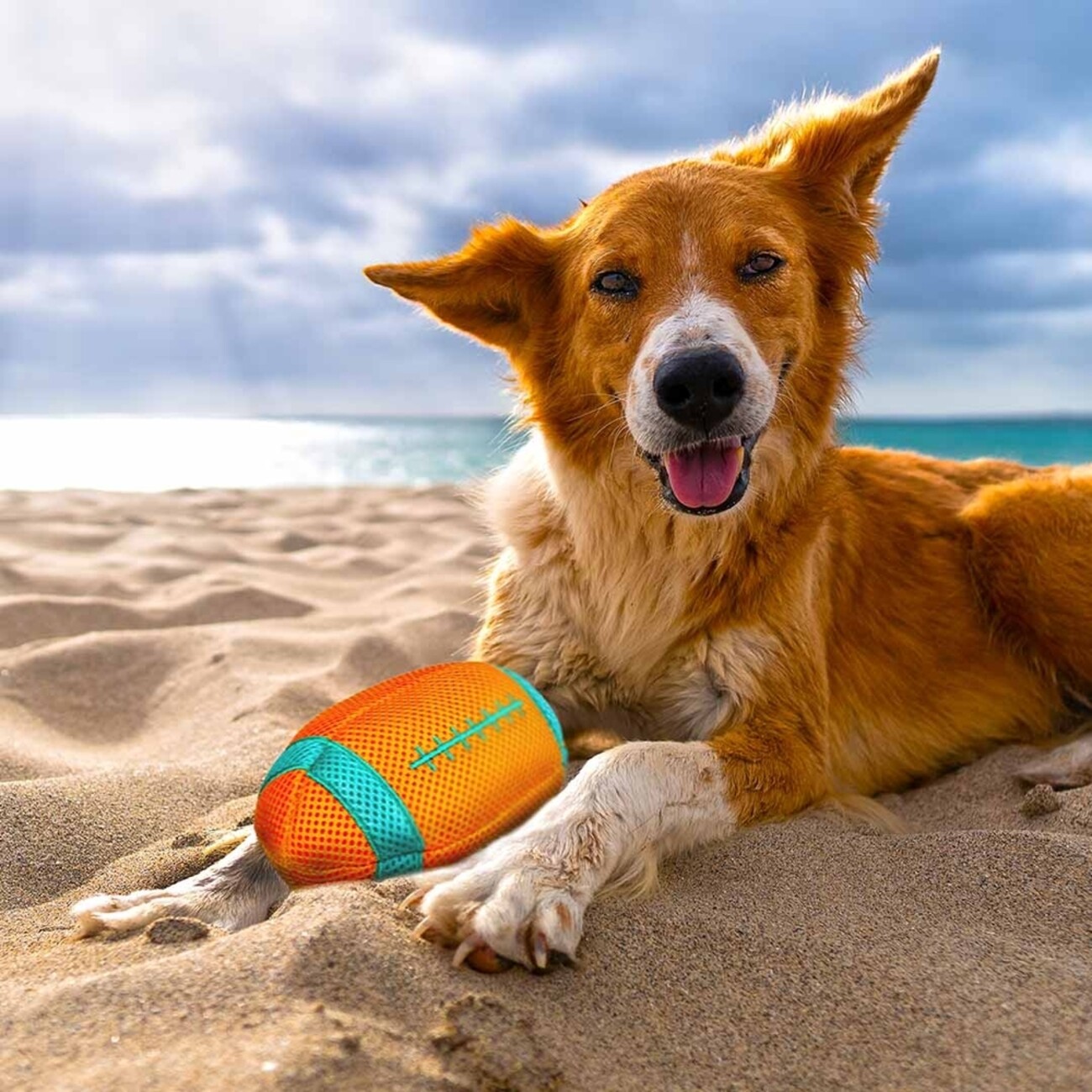 Refresh schwimmender Rugbyball Bild 2