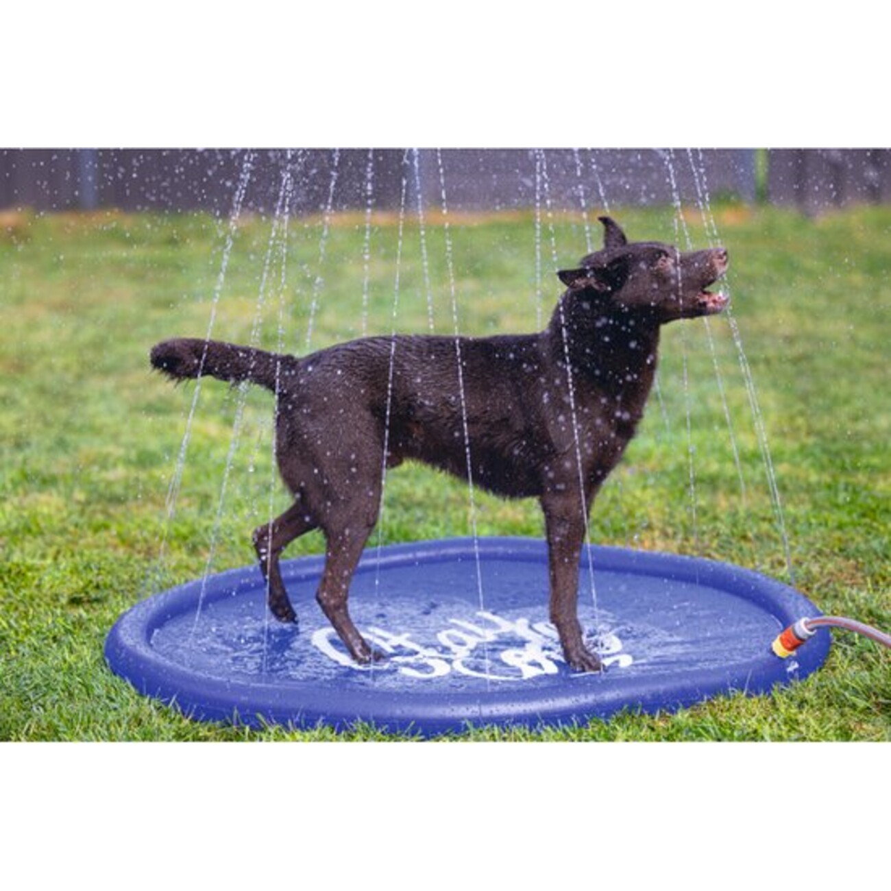 Hunde Sprinklermatte stay cool 100 cm Bild 1