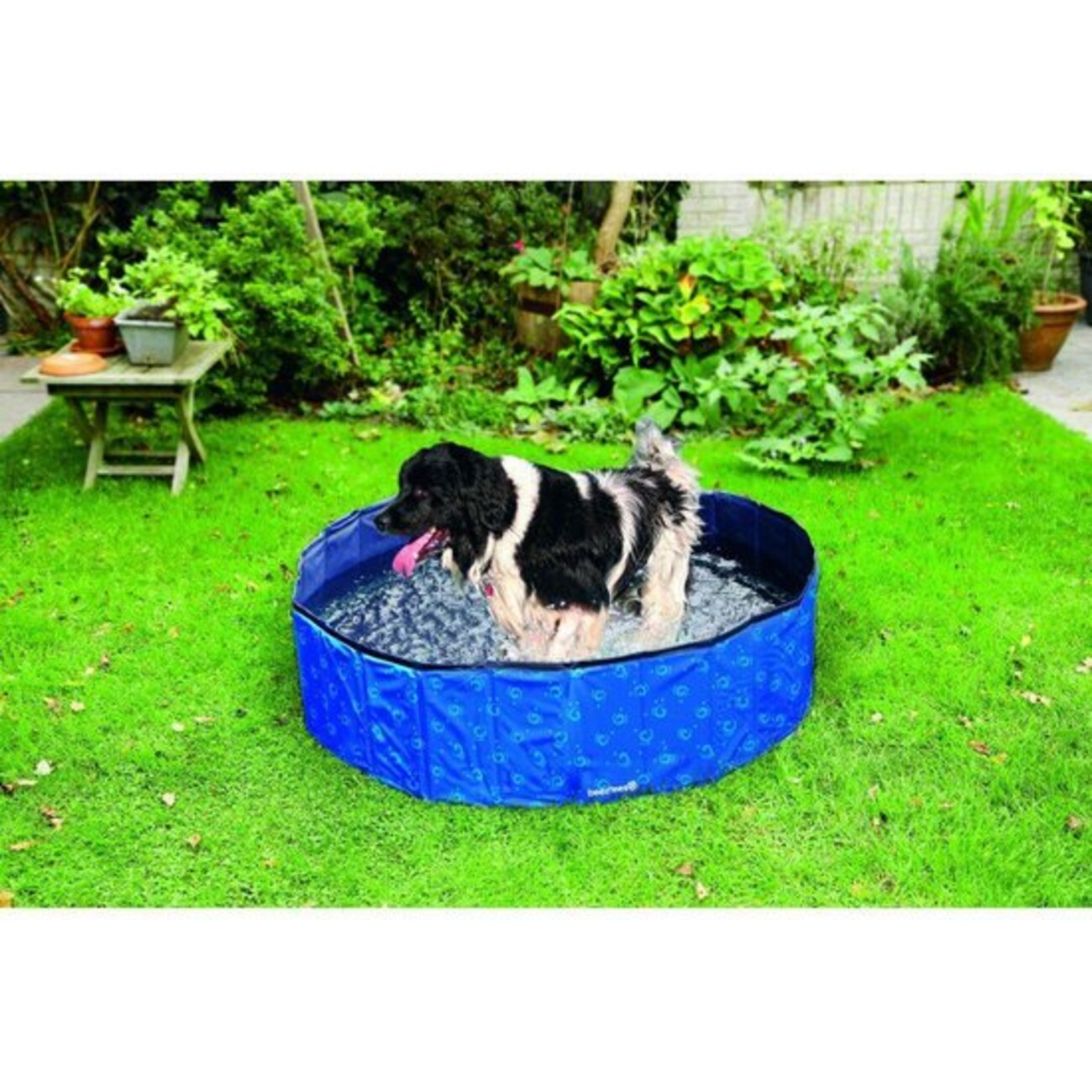 Hundeschwimmbad Hundepool Dip Bild 1