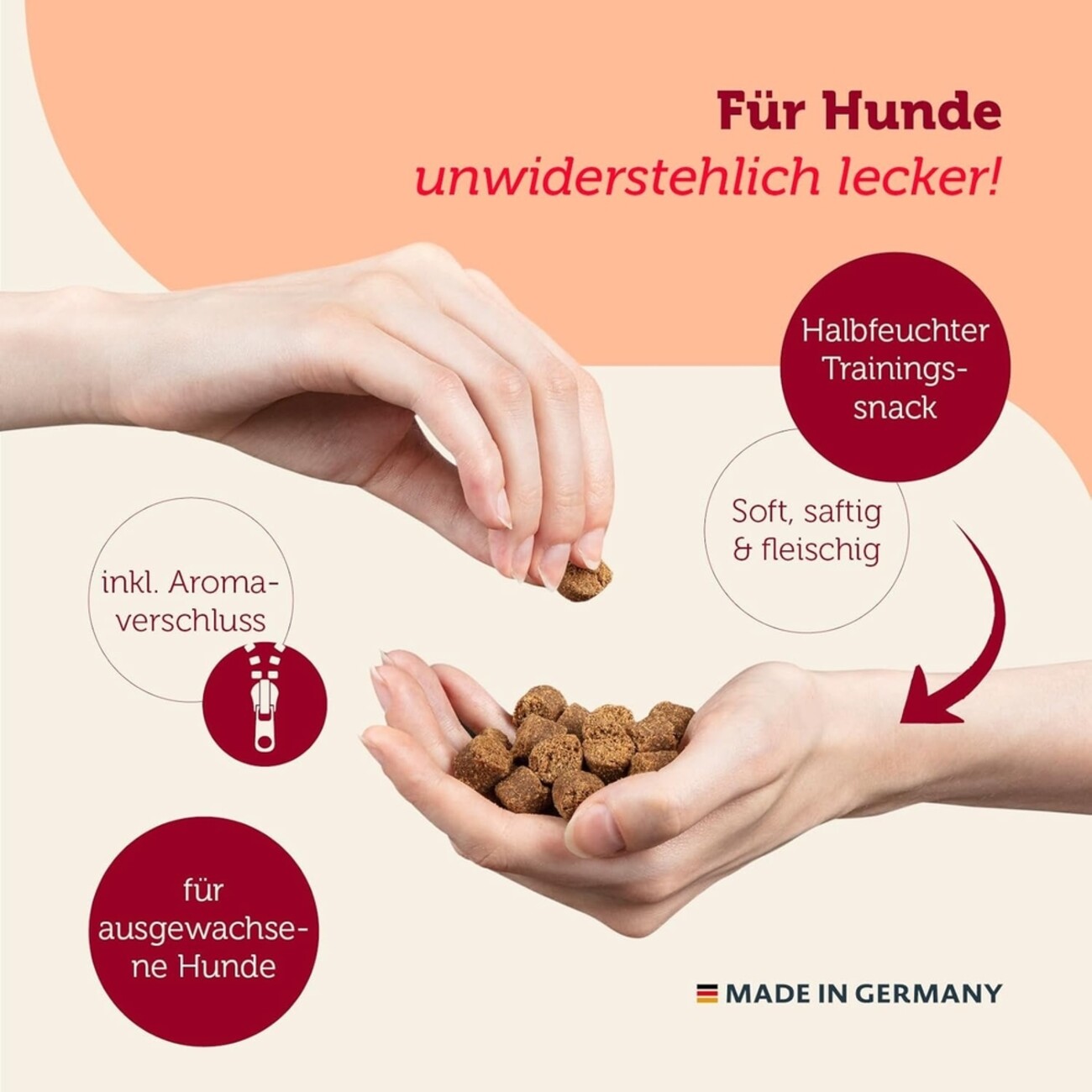 Snacker Mixpack: Vielfalt für deinen Hund - 6 x leckere Hundesnacks! Bild 2