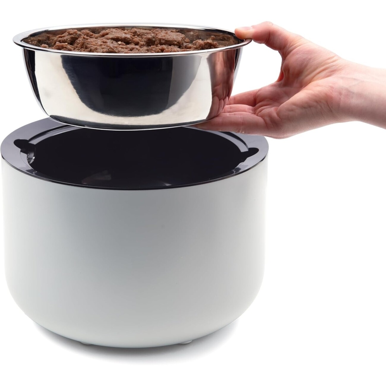 Zeus Oasis Hundenapf mit Gewichtsbasis – Dein stylischer Futterfreund Bild 3