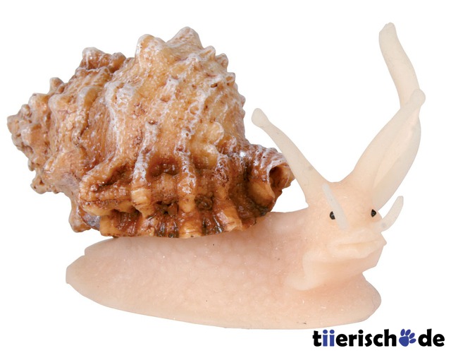 Schnecke Deko fürs Aquarium Bild 1