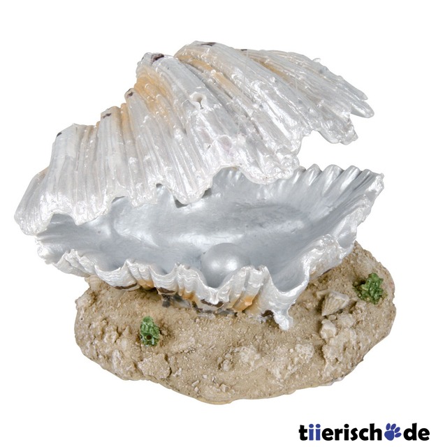 Aquarium Muschel mit Ausströmer Bild 1