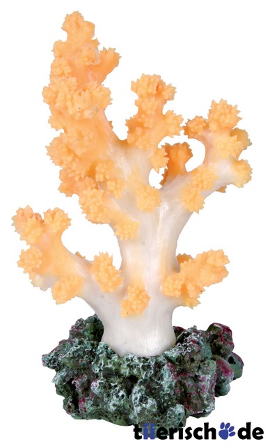 Koralle für Aquarium, weich Bild 1
