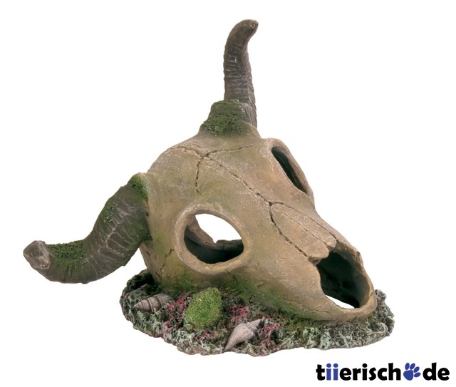Büffel-Schädel Aquarium Deko Bild 1