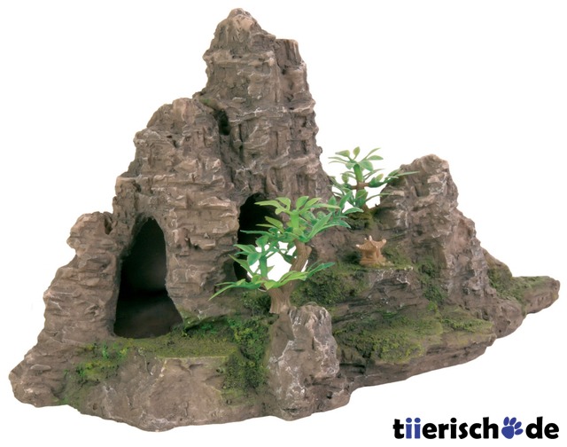 Felsformation mit Höhle und Pflanzen Bild 1