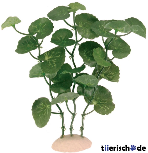 6er Set Aquarium Deko Pflanzen  Bild 2