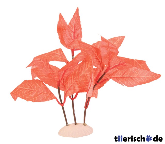 6er Set Aquarium Deko Pflanzen  Bild 6
