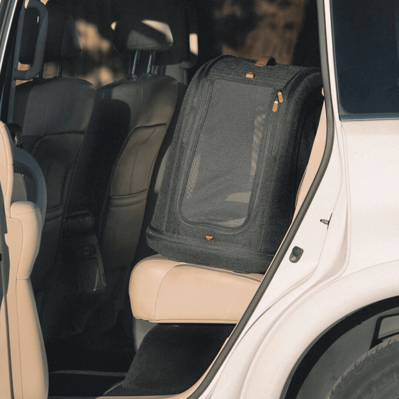 Crispin: Crashgetestete Transportbox für Hunde & Katzen 🐶🐱 Bild 19