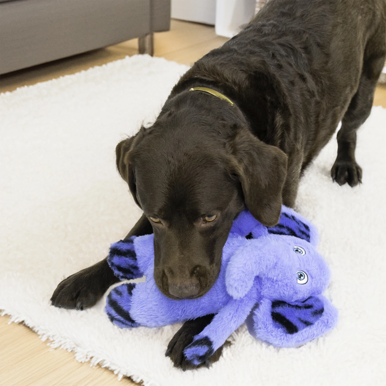 Jungle Jamz Hundespielzeug – Dschungelspaß für deinen Liebling! Bild 3