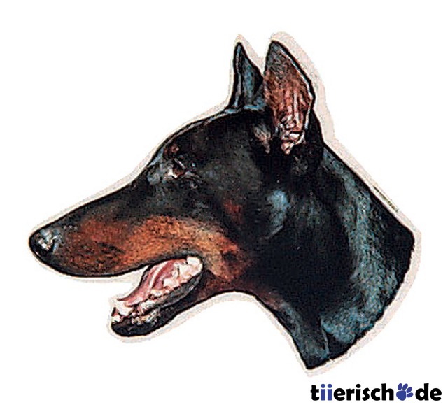 Hundeaufkleber Dobermann Bild 1