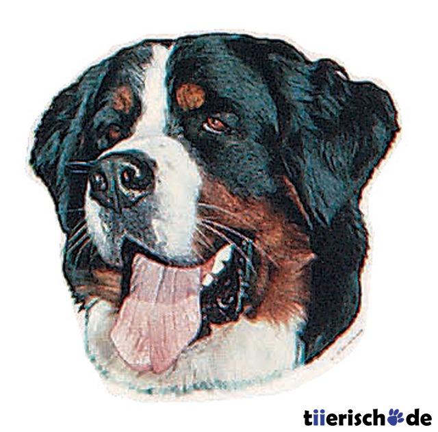 Hunde Aufkleber Berner Sennenhund Bild 1