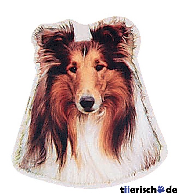 Hundeaufkleber Collie Bild 1