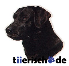 Aufkleber Labrador schwarz Bild 1