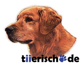 Hundeaufkleber Golden Retriever Bild 1