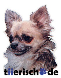 Aufkleber Chihuahua Langhaar Bild 1