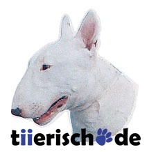 Aufkleber Bullterrier weiß Bild 1